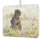 Young Baboon Autolufterfrischer (Links)