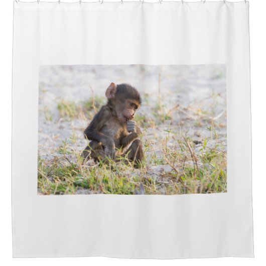 Young Baboon Duschvorhang (Vorderseite)