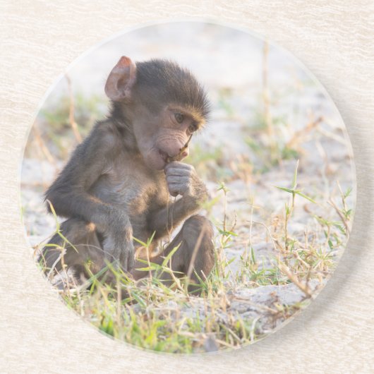 Young Baboon Getränkeuntersetzer (Vorne)