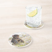 Young Baboon Getränkeuntersetzer (Seite)