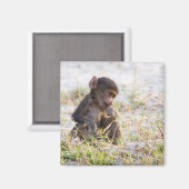 Young Baboon Magnet (Vorderseite/Rückseite)