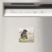 Young Baboon Magnet (In Situ (Geschirrspüler))