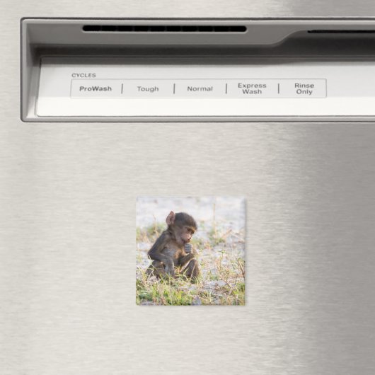 Young Baboon Magnet (In Situ (Geschirrspüler))