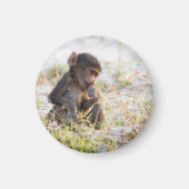 Young Baboon Magnet (Vorne)
