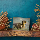 Young Baby Duck Fotoplatte (Seite)