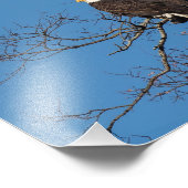 Young Bald Eagle Couple Fotodruck (Ecke)