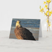 Young Bald Eagle on the Beach Birthday Card Karte (Gelbe Blume)