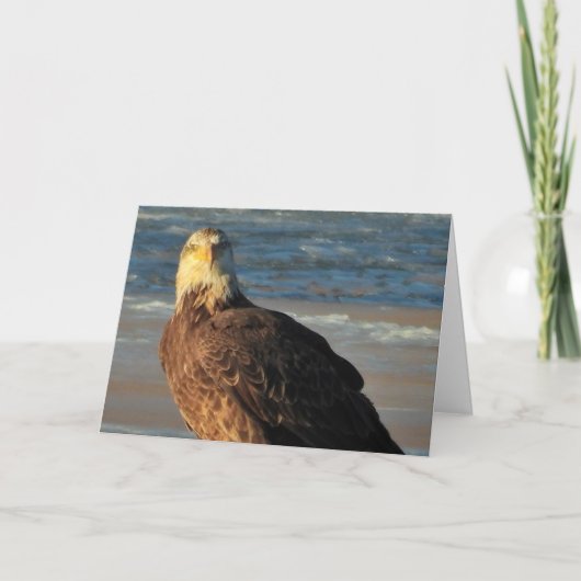Young Bald Eagle on the Beach Birthday Card Karte (Vorderseite)