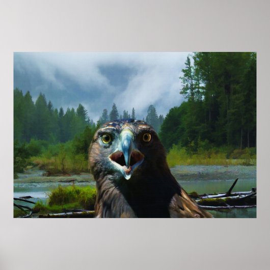Young Bald Eagle und Misty Alaskan River Poster (Vorne)