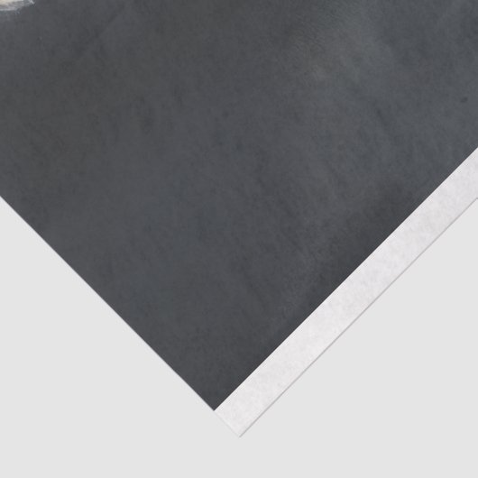 Young Ballerina 1 Decoupage Paper Seidenpapier (Ausschnitt)