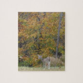 Young Bambi Deer mit Fallbäumen. Puzzle (Vertikal)