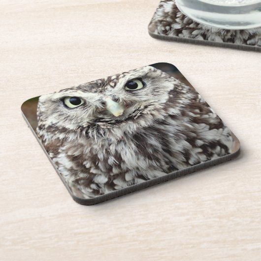 Young Barred Owl Untersetzer (Linke Seite)