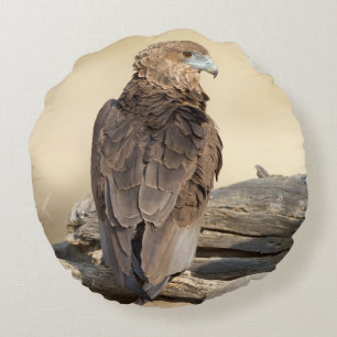 Young Bateleur Rundes Kissen