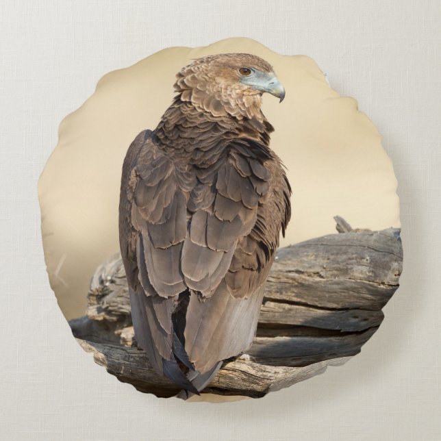 Young Bateleur Rundes Kissen (Rückseite)