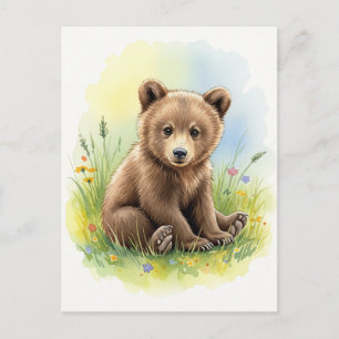 Young Bear Baby Wild Animals Postkarte