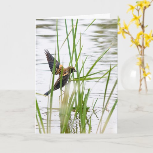 Young Bird in Flight Karte (Gelbe Blume)