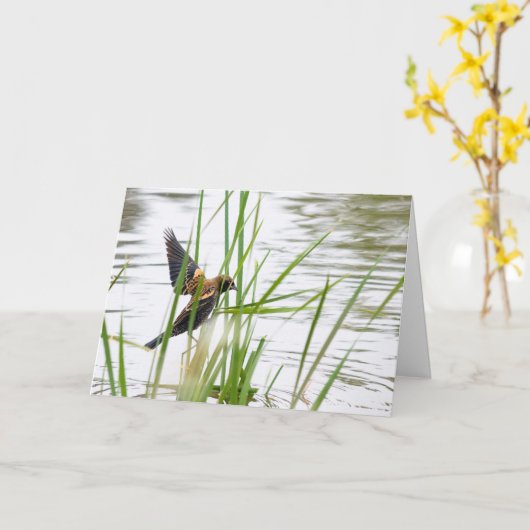 Young Bird in Flight Karte (Gelbe Blume)