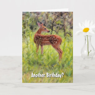 Young Birthday Funny Pun Deer Nature Birthday Card Karte