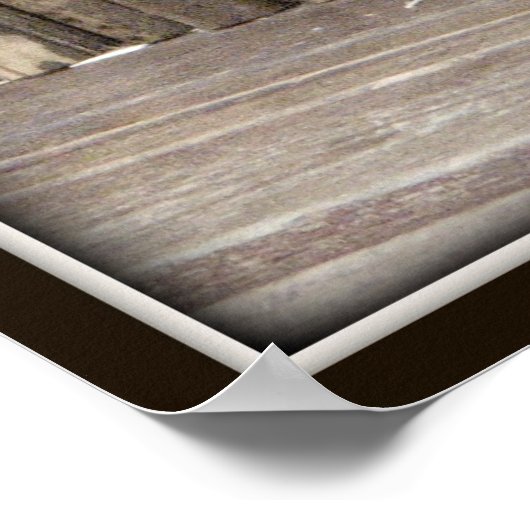 Young Black Leopard Poster (Ecke)