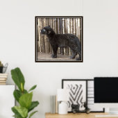 Young Black Leopard Poster (Heimbüro)