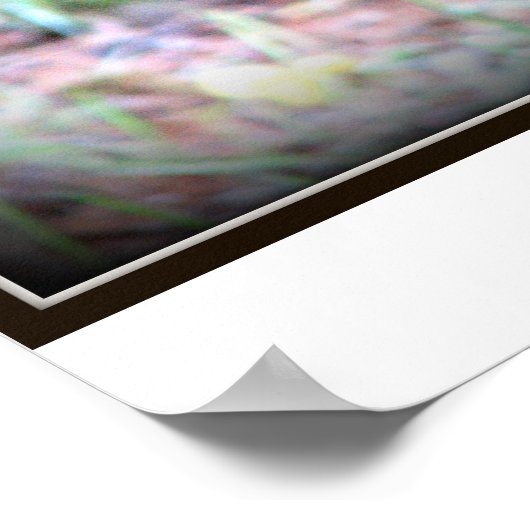 Young Black Leopard Print Poster (Ecke)