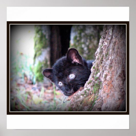 Young Black Leopard Print Poster (Vorne)