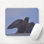 Young Black Raven on Quesnel Bridge w Sky Mousepad (Mit Mouse)