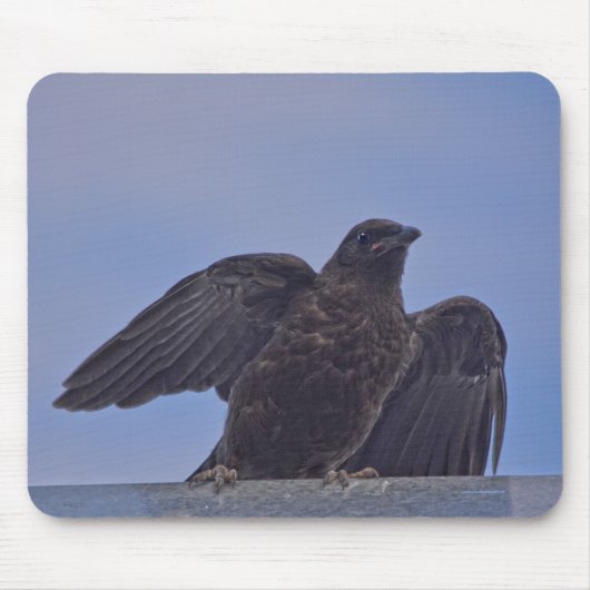 Young Black Raven on Quesnel Bridge w Sky Mousepad (Vorne)