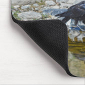 Young Black Raven reflektiert in Pool Mousepad (Ecke)