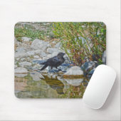 Young Black Raven reflektiert in Pool Mousepad (Mit Mouse)
