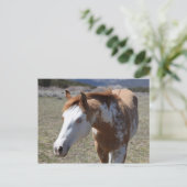 Young Blue Eyes Postkarte (Stehend Vorderseite)