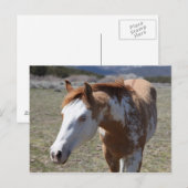 Young Blue Eyes Postkarte (Vorne/Hinten)