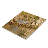 Young Blue Night Heron Bird Tile Fliese (Seite)