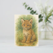 Young Bobcat Kitten Cat Baby Wild Animes Postcard Postkarte (Stehend Vorderseite)