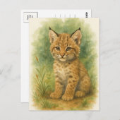 Young Bobcat Kitten Cat Baby Wild Animes Postcard Postkarte (Vorne/Hinten)