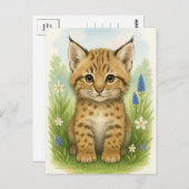 Young Bobcat Kitten Cat Baby Wild Animes Postcard Postkarte (Vorne/Hinten)