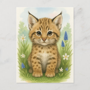 Young Bobcat Kitten Cat Baby Wild Animes Postcard Postkarte
