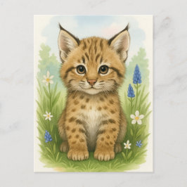 Young Bobcat Kitten Cat Baby Wild Animes Postcard Postkarte