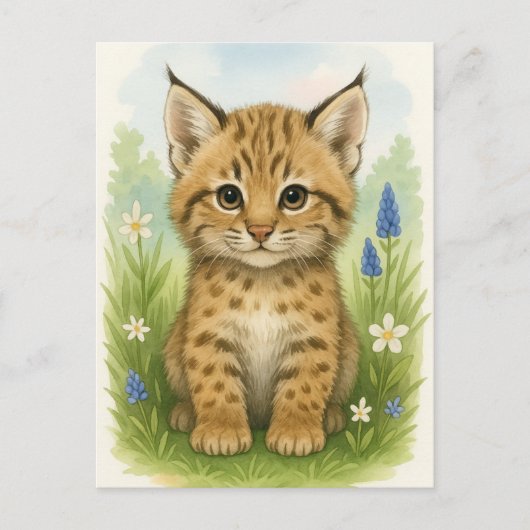 Young Bobcat Kitten Cat Baby Wild Animes Postcard Postkarte (Vorderseite)