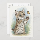 Young Bobcat Kitten Cat Baby Wild Animes Postcard Postkarte (Vorne/Hinten)