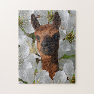 Young Brown Alpaca in White Blossoms, Puzzle