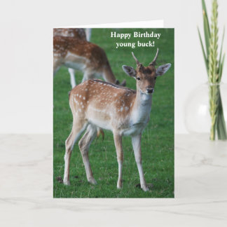 Young Buck Birthday Card Karte