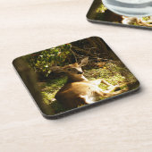 Young Buck Coasters - Set aus 6 Untersetzer (Linke Seite)