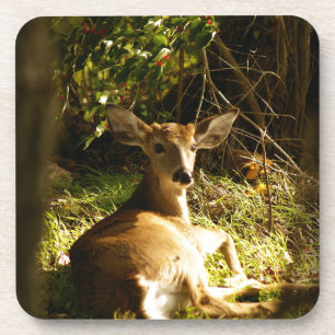 Young Buck Coasters - Set aus 6 Untersetzer