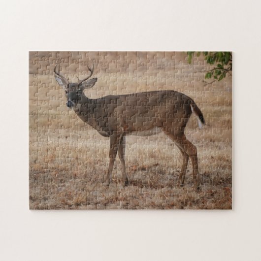 Young Buck Deer Texas Meadow Art Puzzle (Horizontal)