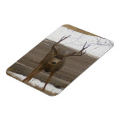 Young Buck Flexibler Magnet (Linke Seite)