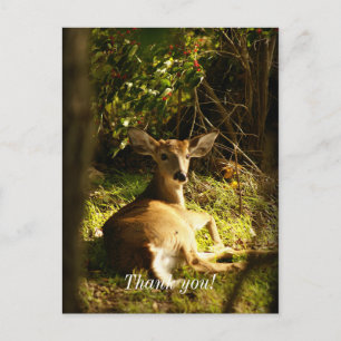 Young Buck in the Meadow Danke Postkarte