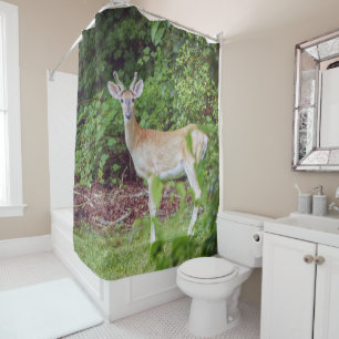 Young Buck in Velvet Duschvorhang