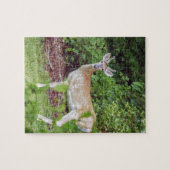 Young Buck in Velvet Puzzle (Horizontal)