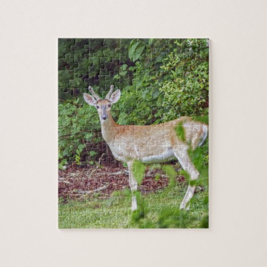 Young Buck in Velvet Puzzle (Vertikal)